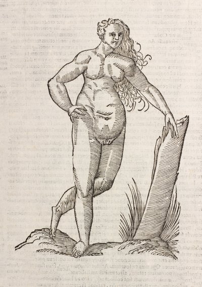 Androgynos tekijältä Unbekannt