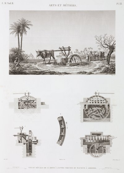 Animal Power Animal-powered irrigation, Egypti, n. 1798 tekijältä Unbekannt