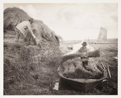 Peltoviljely, sadonkorjuu "Ricking the Reed" tekijältä Unbekannter Künstler
