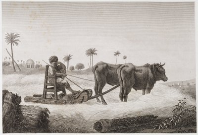 Peltoviljely, sadonkorjuu Puimakone, Egypti, n. 1798 tekijältä Unbekannt