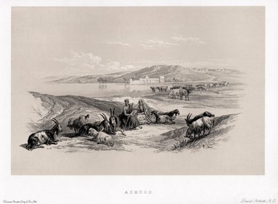 Ashdod Davidin toimesta tekijältä Unbekannter Künstler