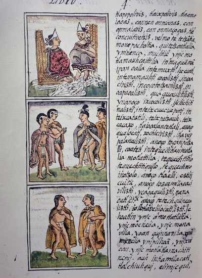 Atsteekkien yhteiskunta, Firenzen Codexin IV kirja, kaksikielinen versio espanjaksi ja nahuatliksi, Uuden Espanjan asioiden yleinen historia, atsteekkien sivilisaatio tekijältä William M. Timlin