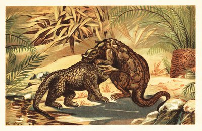 Taistelu Megalosaurus bucklandiin ja Iguanodon bernissar1908 välillä (litografia) tekijältä Unbekannter Künstler