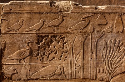 Thutmosis III:n kasvitieteellinen puutarha, jossa on kohokuvioita kasveista ja eläimistä, Karnakin temppeli, Luxor, Thebes, Egypti, Afrikka (kuva) tekijältä Unbekannter Künstler
