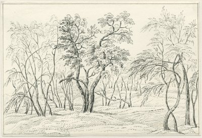 Cannock Chase: kynä- ja lyijykynäpiirustus, nd [?1800-luku] tekijältä Unbekannt