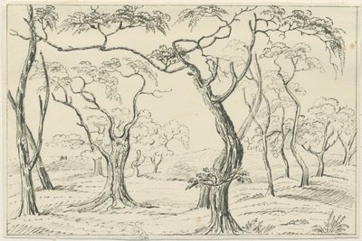 Cannock Chase: kynä- ja lyijykynäpiirustus, nd [?1800-luku] tekijältä Unbekannt