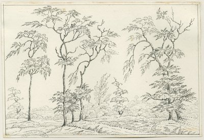 Cannock Chase: kynä- ja lyijykynäpiirustus, nd [?1800-luku] tekijältä Unbekannt