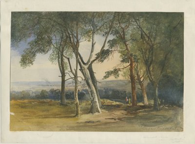 Cannock Chase: akvarellimaalaus, 1848 tekijältä Unbekannt