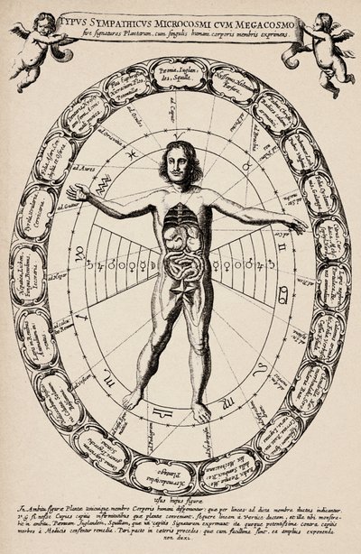 Mikrokosmoksen ja makrokosmoksen välinen vastaavuus. Kuva Athanase Kircherin (1601-1680) teoksesta "Mundus subterraneus". tekijältä Unbekannter Künstler