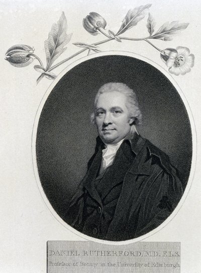Daniel Rutherford, skotlantilainen kemisti ja kasvitieteilijä, 1800-luvun alku tekijältä Unbekannt
