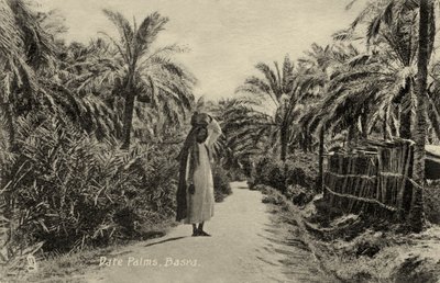 Date Palms, Basra tekijältä Unbekannter Künstler