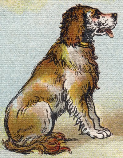 Koira. Kaiverrus "Alphabet de ma petite fille". Bernardin-Bechet ja Fils, kirjakauppias-kustantajat, Pariisi, noin 1895. Rikkoutumaton albumi kankaalle. Bibliotheque des Bebes. 12 sivua. Albumi, joka sisältää lukumenetelmän ja havainnollisen abeceedaryn. K tekijältä Unbekannt
