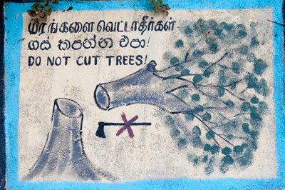 Ympäristönsuojelu; maalattu merkki; """ Älä kaada puita""""" kuvaa kaadettua puuta ja yliviivattua kirvestä; Nuwara Eliya; Sri Lanka; Aasia tekijältä Unbekannt