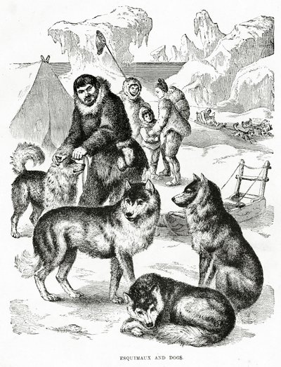 Eskimot ja koirat. 1902 (jäseniä) tekijältä Unbekannt