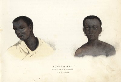 Etiopialainen mies ja nainen. Käsinväritetty teräskaiverrus Georg Friedrich Treitschken luonnonhistoriallisesta galleriasta, Naturhistorischer Bildersaal des Thierreiches, Liepzig-1842. tekijältä Unbekannter Künstler