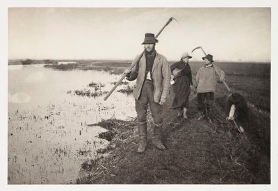 Maanviljelijät ja maataloustyöntekijät "Coming Home from the Marshes" (retour des marais) tekijältä Unbekannter Künstler