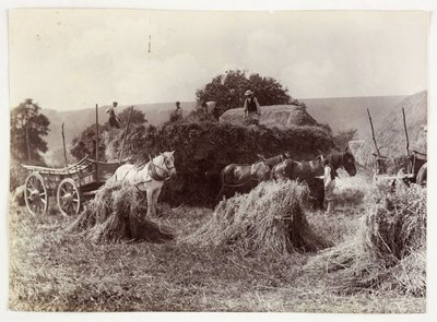Maatalousnäkymät, sadonkorjuu ja varastointi, sadonkorjuu ennen 1900, c 1890 tekijältä Unbekannt
