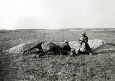 Ensimmäinen maailmansota 14-18 (1914-1918): kolme ranskalaista sotilasta hautaa kuolleen hevosen - valokuva lasilevylle - tekijältä Unbekannter Künstler