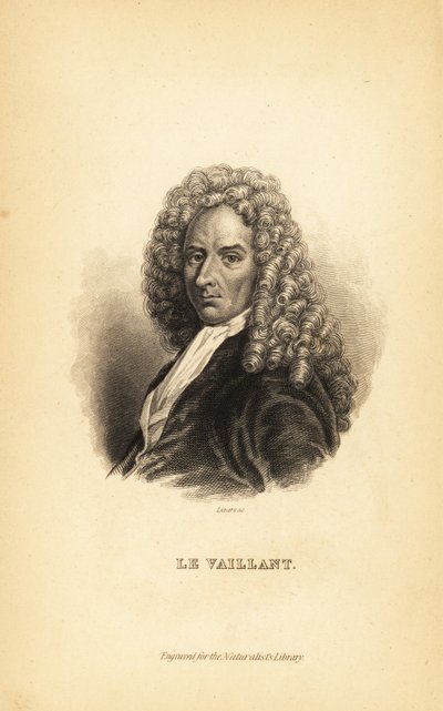 Francois le Vaillant tai Levaillant, ranskalainen kirjailija, tutkimusmatkailija, luonnontieteilijä ja ornitologi tekijältä Unbekannt