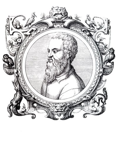 Guillaume Rondelet. tekijältä Unbekannt