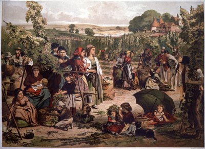 Humalanpoimintaa Englannissa 1800-luvun lopulla (kuva). tekijältä Unbekannter Künstler