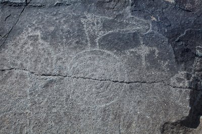 Intialaiset petoglyfit - Eläinten ja symbolien esitykset - Petroglyph National Monument - Albuquerque, New Mexico, USA (USA) tekijältä William M. Timlin