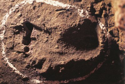 Italia, Liguria, Toiranon luolat, esihistoriallisen metsästäjän jalanjäljet tekijältä Benjamin Baud