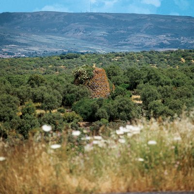 Italia, Sardinian alue, Oristanon maakunta, Nuraghe Crabia tekijältä William M. Timlin