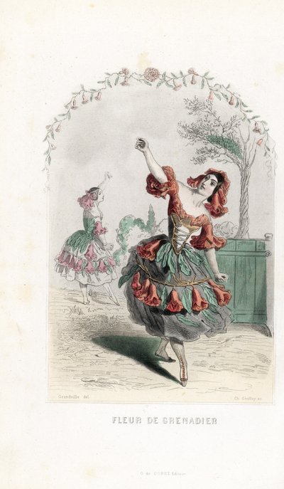 La fee de la fleur de grenade danse - Charles Geoffroyn (1819-1882) etsaus Jean Ignace Isidore Gerard dit J.J.J.J.Granvillen (1803-1847) Les fleurs animees -teokseen tekemän kuvituksen pohjalta. tekijältä Unbekannter Künstler