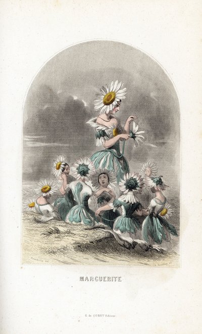 Les fees des daisies des pres, kukkahattujen päällä, yksi jättää päivänkakkaran terälehdet - Eau forte Charles Geoffroy (1819-1882), Jean Ignace Isidore Gerard dit J.J.Granvillen (1803-1847) kuvituksen Les fleurs animees -teokseen mukaan. tekijältä Unbekannter Künstler