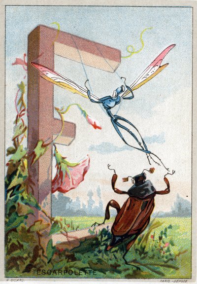 E-kirjain Escarpolettena. Mr. Marinierin taiteelliset aakkoset. Toimittanut Henry Sicard, 1800-luvun loppu. Kromolitografien mainostaminen apteekeissa myytäville tuotteille. Mitat: 12,5 x 9 cm tekijältä Unbekannt