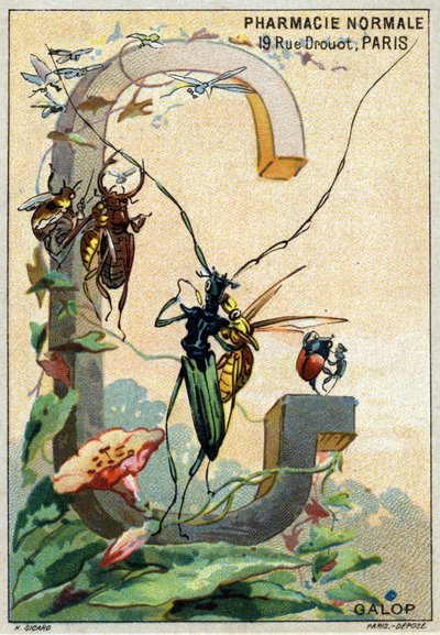 G-kirjain kuten Galop. Mr. Marinierin taiteelliset aakkoset. Toimittanut Henry Sicard, 1800-luvun loppu. Kromolitografien mainostaminen apteekeissa myytäville tuotteille. Mitat: 12,5 x 9 cm tekijältä Unbekannt