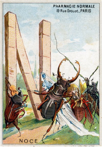 N-kirjain häänä. Mr. Marinierin taiteelliset aakkoset. Toimittanut Henry Sicard, 1800-luvun loppu. Kromolitografien mainostaminen apteekeissa myytäville tuotteille. Mitat: 12,5 x 9 cm tekijältä Unbekannt