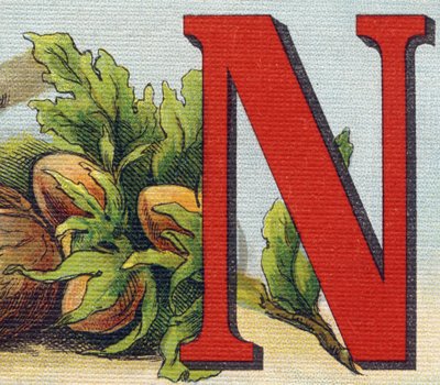 Kirjain N: hasselpähkinät. Kaiverrus "Alphabet de ma petite fille". Bernardin-Bechet ja Fils, kirjakauppias-kustantajat, Pariisi, noin 1895. Rikkoutumaton albumi kankaalle. Bibliotheque des Bebes. 12 sivua. Albumi, joka sisältää lukumenetelmän ja havainnol tekijältä Unbekannt