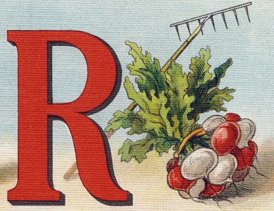 R-kirjain: harava, retiisi. Kaiverrus "Alphabet de ma petite fille". Bernardin-Bechet ja Fils, kirjakauppias-kustantajat, Pariisi, noin 1895. Rikkoutumaton albumi kankaalle. Bibliotheque des babes. 12 sivua. Albumi, joka sisältää lukumenetelmän ja havainno tekijältä Unbekannt