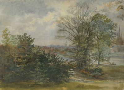 Lichfield - Distant View: öljymaalaus ja [?1800-luku] tekijältä Unbekannt