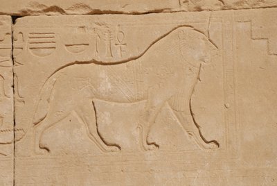 Leijonaveisto, Karnak, Luxor, Egypti (kuva) tekijältä Unbekannt