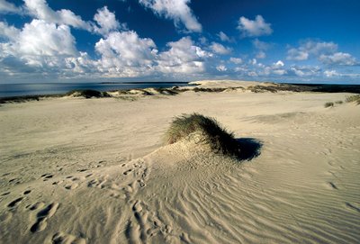 Liettua, Klaipeda, Kuurin kynnäs, Nida, liikkuvat hiekkadyynit nimeltä Preussian Sahara tekijältä William M. Timlin