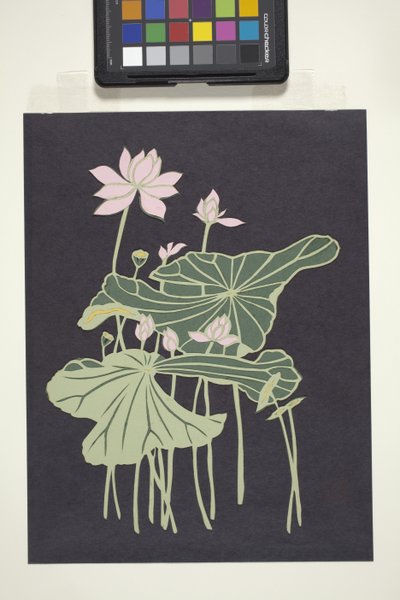 Lotus (monivärinen leikattu paperi) tekijältä Unbekannter Künstler
