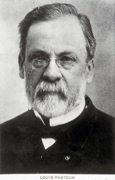 Louis Pasteur, ranskalainen kemisti ja mikrobiologi, noin 1885. tekijältä Unbekannter Künstler
