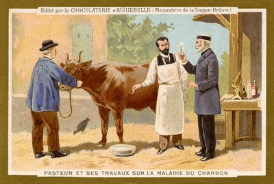 Louis Pasteur työskentelee löytääkseen parannuskeinon pernaruttoon tekijältä Unbekannter Künstler