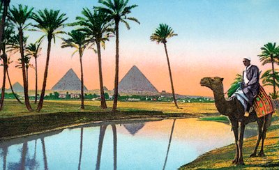 Mies kamelin selässä Gizehin pyramideja katsomassa, noin 1900 (kromoliitti) tekijältä Unbekannter Künstler