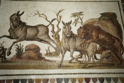 Mosaiikki eläintaisteluista: tiikeri hyökkää kahden yö-alkoisen kimppuun. II s AD / Musee d