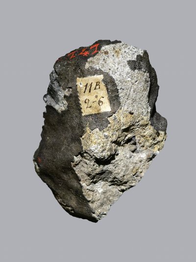 Tavallinen kondriitti (LL5). Tombee Sienassa (Italia) vuonna 1794. Kansallinen luonnonhistoriallinen museo, Pariisi. tekijältä Unbekannt