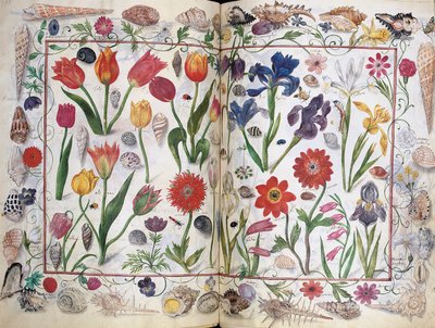 Sivuja Philipp Hainhoferin albumilta Amicorum, 1596-1633 tekijältä Unbekannt