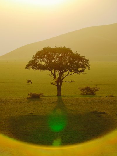 Paratiisi sateen jälkeen, Chyulu Hills, 2018 (valokuva) tekijältä Unbekannter Künstler