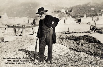 Professori Ernst Haeckels Rapallossa, Italiassa (m/v kuva) tekijältä Unbekannt