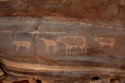 Kalliotaide, esihistoria: Kaiverrus neljästä karjasta Uweinatin vuoristossa, Sudanissa (Karkur-Talh tai Karkur Talh). Ajanjakso 8000-3000 vuotta eKr. Valokuvaus tekijältä Unbekannt