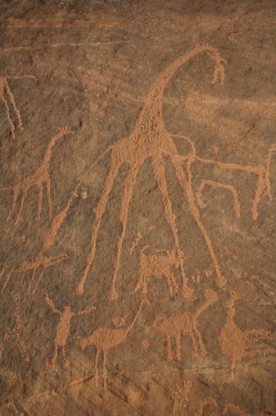 Kalliotaidetta, esihistoriaa: Kaiverrus kirahveista, strutseista, lampaista ja hahmoista Uweinatin massiivissa, Sudanissa (Karkur-Talh tai Karkur Talh). Ajanjakso 8000-3000 vuotta eKr. Valokuvaus tekijältä Unbekannt
