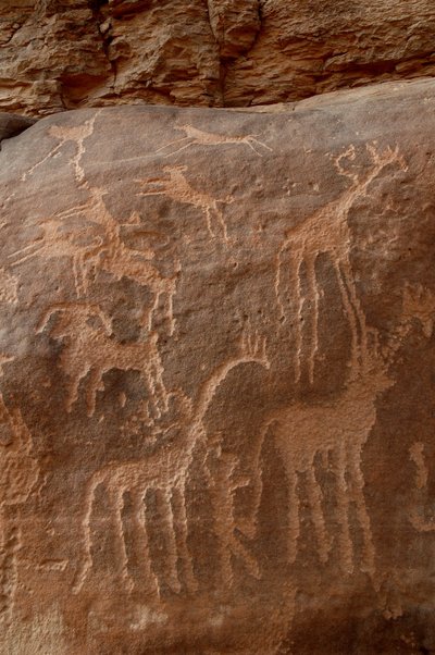 Kalliotaide, esihistoria: Kaiverrus kirahveista, strutseista, lampaista, koirista ja hahmoista Uweinatin vuoristossa, Sudanissa (Karkur-Talh tai Karkur Talh). Ajanjakso 8000-3000 vuotta eKr. Valokuvaus tekijältä Unbekannt